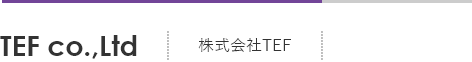 株式会社TEF